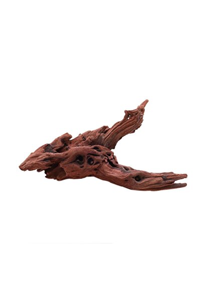 Choice1 M Creative Irregular Shape Coral Wood Natural Wood Driftwood Trunk Ai...