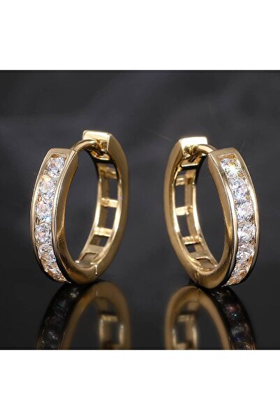 Choice1 E4534 Huitan Fashion Lady Hoop Earrings Gold Color/Silver Color Inlai...