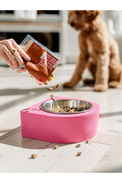 Kişiselleştirilebilir Renkli Kedi Köpek Mama Su Kabı 12Cm