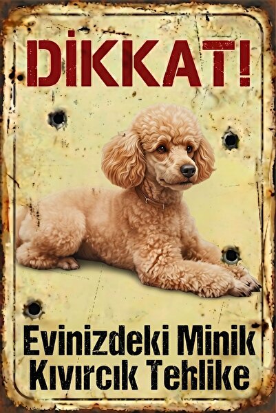 Iron Paws Dikkat Köpek Var - Poodle (Kaniş) Uyarı Levhası - Paslanmaz Metal G...