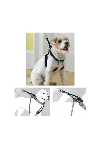 Pawise Nhrhls Dog Training XS (34"X9-12") (131802) Training Collar
