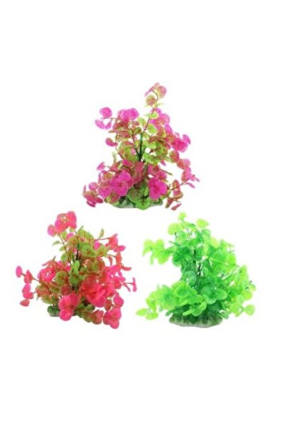 OEM Set de plante acvatice, 3 bucăți, 20CM