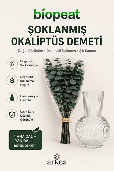 BioPeat Şoklanmış Gerçek Okaliptüs Demeti ve Dekoratif Cam Vazo Seti – Doğal ...