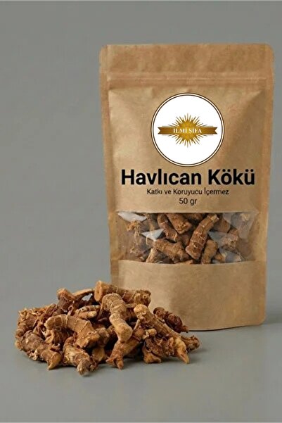 İLMİ ŞİFA Havlıcan Kök (Havlıcan Kökü – Galangal Root – Alpinia galanga) Doğa...