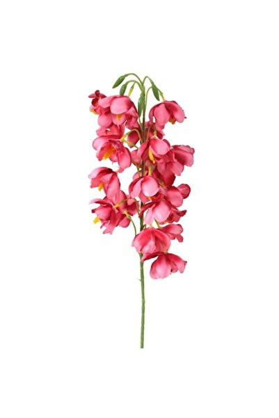 Goliat ramură artificială de orhidee, 84cm, culoare somen închis