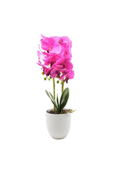 Naimeed Company Orhidee decorativă în ghiveci ceramic, 53 cm, Naimeed D4846, ...