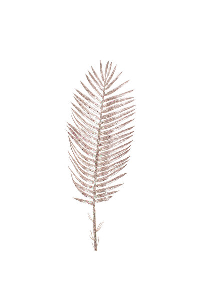 Zumzeria Ramură decorativă de ferigă de Crăciun cu sclipici bej 80cm