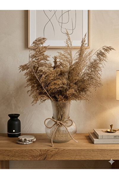 Home Bohem Dokunuş: Doğal Kurutulmuş Kamış & Minimalist Vazo Seti