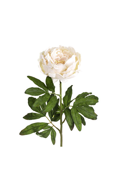 Zumzeria Floare artificială cu tulpină lungă, bujor crem, 70cm