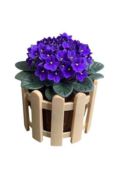 NIOVEL Ghiveci Balustrade 6L Maro, 27cm x 20 cm
