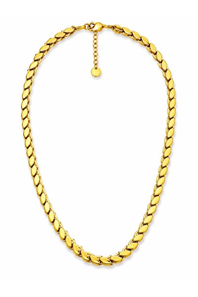 CHARMLUCKY STEEL ARPA CHAIN NECKLACE