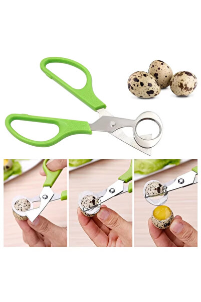Choice 1PC Stainless Steel Quail Egg Cutter Scissors for Quail Bird Pigeon Eg...