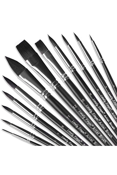 Choice 12pcs Black Mix Paint Brushes Set, 12pcs Synthetic Nylon Tips Artist B...