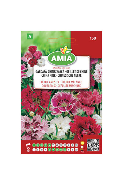 Amia Seminte flori Garoafa chinezeasca flori mari duble 1 g