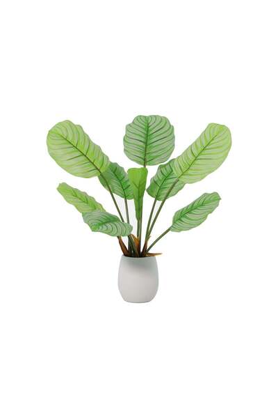 Highpoint High Point Plant-Themed Tree That Captivates and Enhances Home Deco...