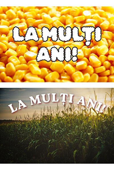OEM Set of 2 Happy Birthday Cards Corn Theme, Creative Design, 250g Cardboard...