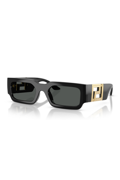 Versace 4506U Gb1/87 54