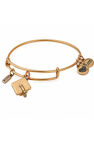 Alex and Ani Bratara Metal A18EBGCRG
