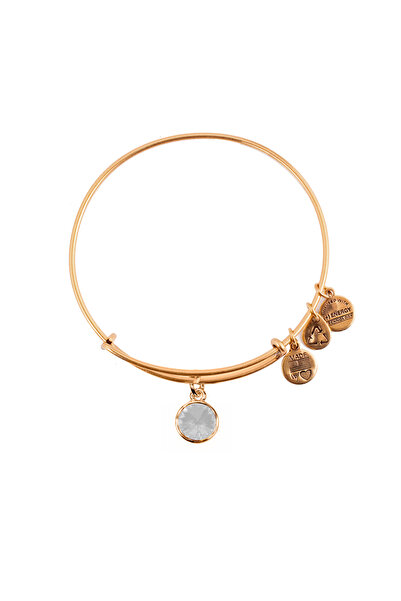 Alex and Ani Metal Bracelet A12EB243RG