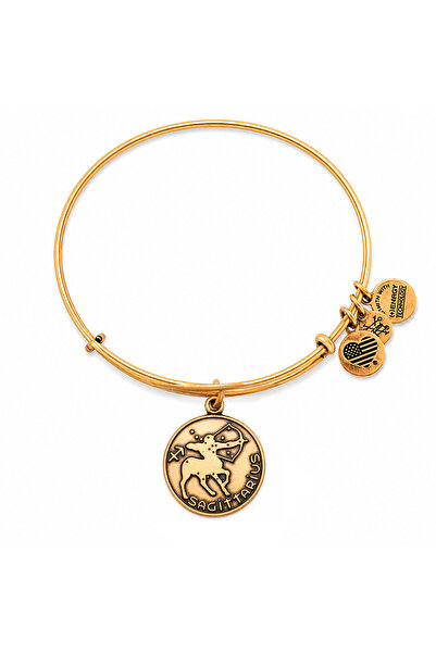 Alex and Ani Bratara Metal A13EB01SARG