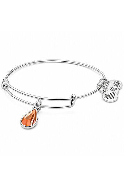 Alex and Ani Bratara Metal A17EB50RS
