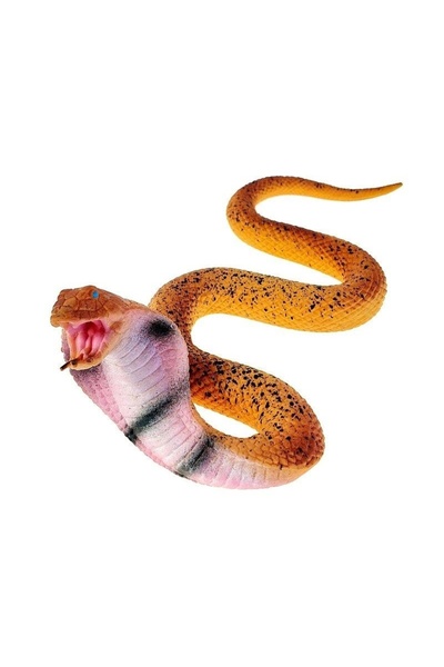 adar WƒÖ≈º elastic 21x18,5x5cm
