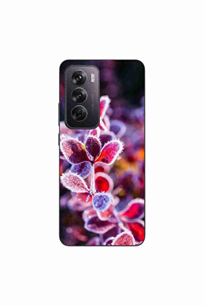 OEM Husa compatibila cu Oppo Reno12 Pro Silicon Gel Tpu Model Flori Inghetate
