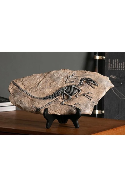 Vivense VİNTAGE T REX DİNOZOR FOSİL DEKOR