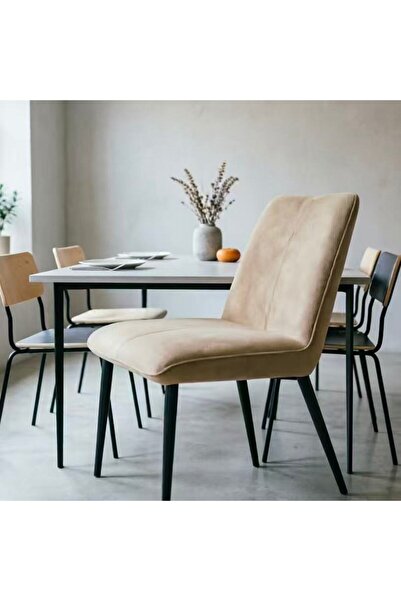 Bleco Two-Tone Matte Fabric Casual Dining Chair