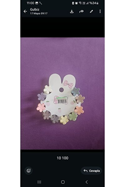 NO BRAND 10 colorful mini hairpin clips