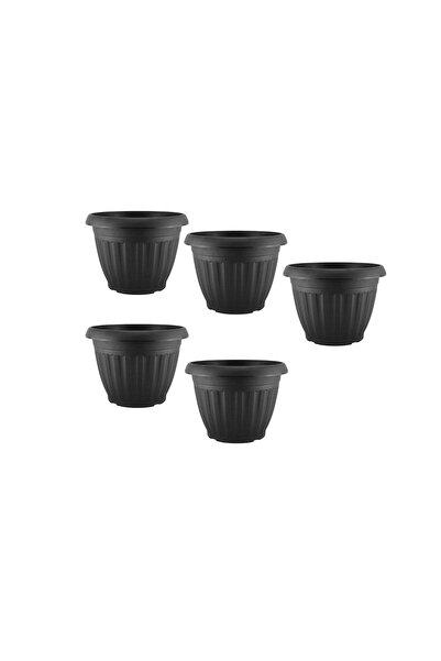 Ch Five Circular Agricultural Basins with a Diameter of 20 cm