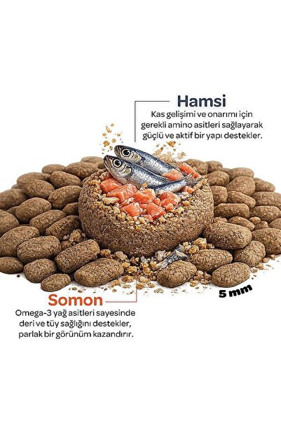 obivan Somonlu ve Hamsili Yetişkin Kedi Maması 2 Kg