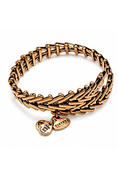 Alex and Ani ΓΥΝΑΙΚΕΙΟ ΒΡΑΧΙΟΛΙ VW112RG (20ΕΚ.)