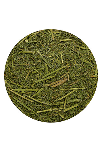 HERBS عشبة روتا جريفولينس 100 جرام