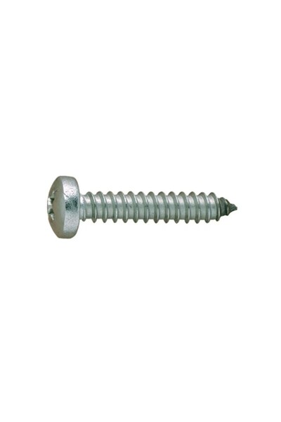 Rocast Set 100 x Surub Cap Bombat pentru Tabla 7981 Otel Zincat-5.5 x 70