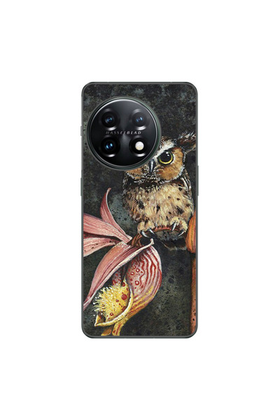 OEM Husa compatibila cu OnePlus 12R Silicon Gel Tpu Model Owl Painted