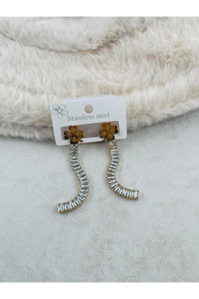 Bozhi Steel Earrings 54 Silver Special Gift Gold