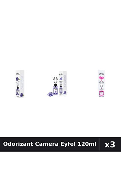 Eyfel Top Bottom Set of 3 Room Air Fresheners with Sticks 120ml - Hyacinth, L...