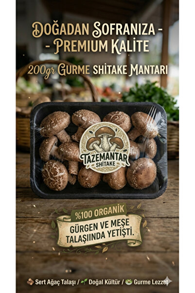 BLOKMANTAR Taze Shitake Mantar 200gr