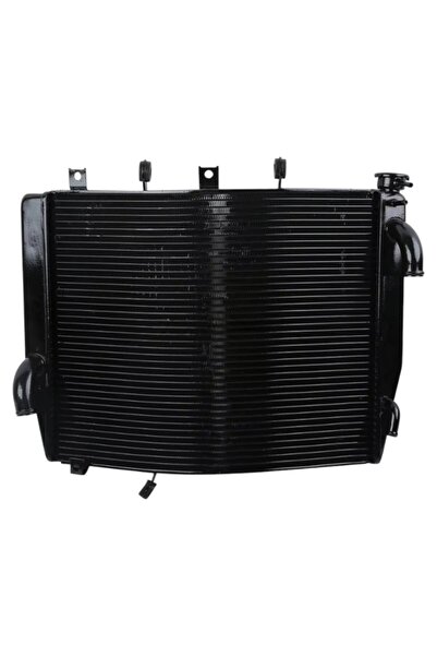 EVO MOTORS Radiator Triumph Tiger 800 2011 2020