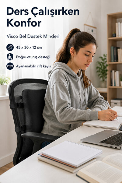 EpiRelax Ders Çalışma Bel Destek Yastığı Çalışma Sandalyesi İçin Ergonomik Be...