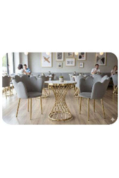 luxino Elegant 3-piece cafe set two chair in a gray color and a round table w...
