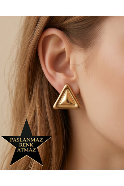 stainless steell 36L Steel Triangle Women's Earrings
