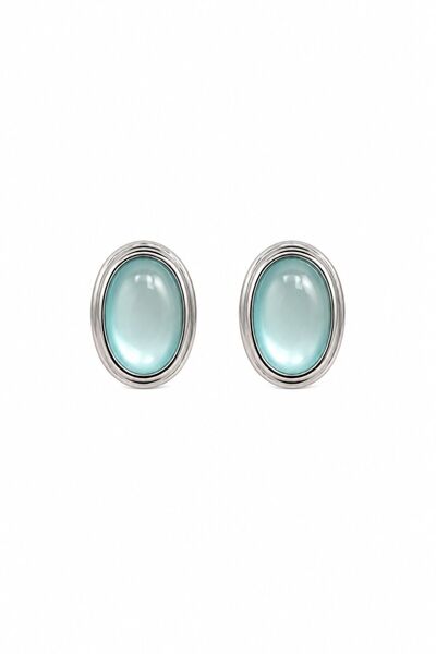 Charmist Steel Halo Earrings