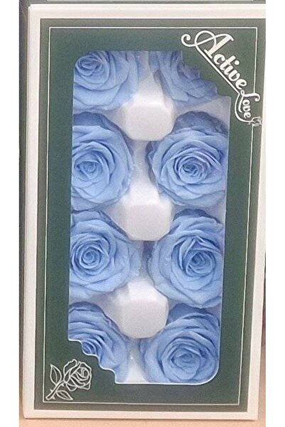 OEM Trandafiri criogenati, 8 bucati/cutie, diametru 5 cm Bleo