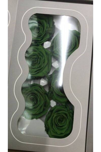 OEM Trandafiri criogenati, 6 bucati/cutie, diametru 6 cm Verde
