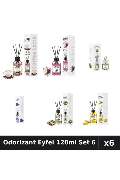 Eyfel Set 6 Odorizante Camera Betisoare 120ml - Cafea, Bouquet, Lacramioare, ...