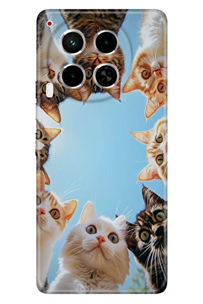 TECNO Camon 30 (CL6) Kılıf Kedi Kankiler Temalı Desenli Darbe Emici Silikon