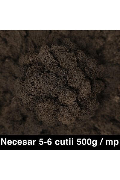 Roberto Rossi Licheni curatati si fara radacina conservati 500g NET, calitate...