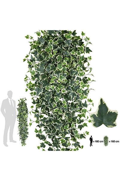 Roberto Rossi Iedera artificiala H180cm cu 850 frunze verde cu alb